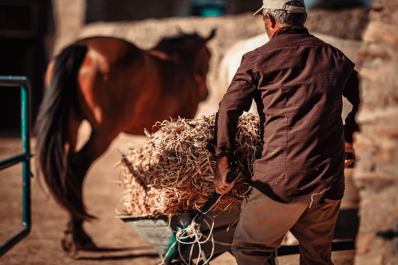 Agriturismo Tenuta Stoccatello メンフィ エクステリア 写真
