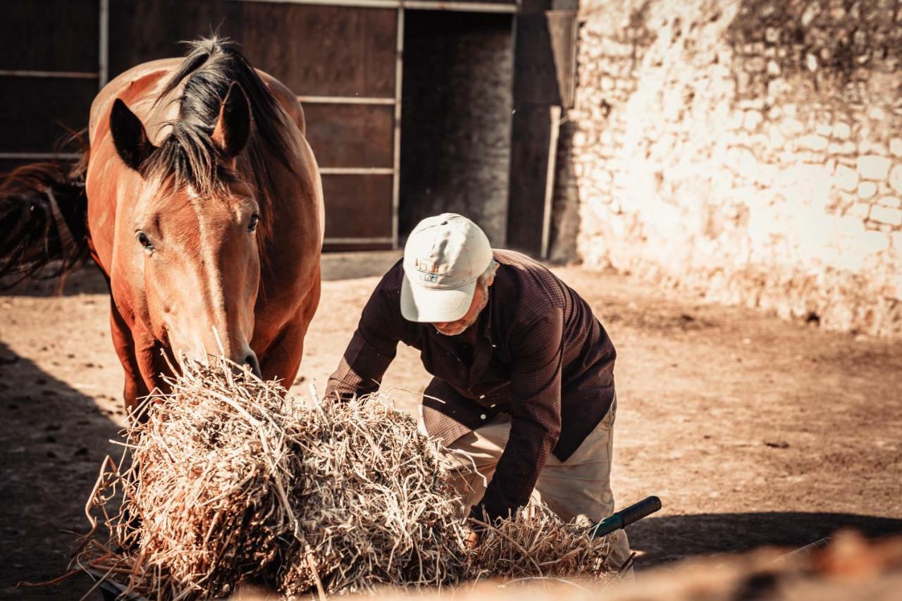 Agriturismo Tenuta Stoccatello メンフィ エクステリア 写真