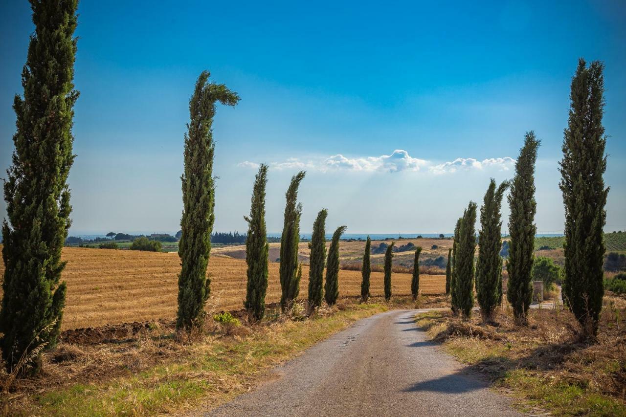 Agriturismo Tenuta Stoccatello メンフィ エクステリア 写真